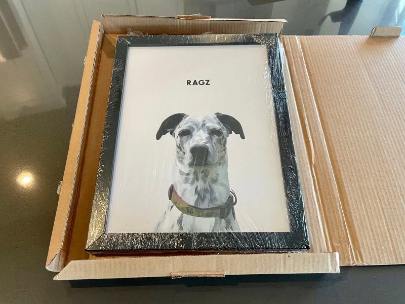crown & paw pet portrait in the box