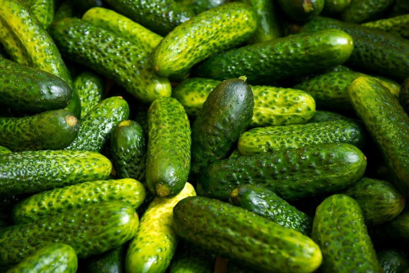 cucumber_Lukáš Jančička_Pixabay