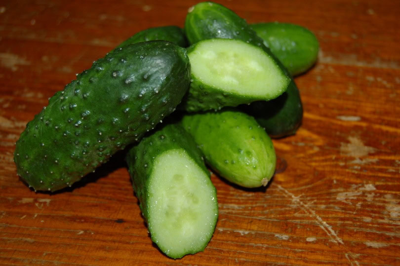 cucumber