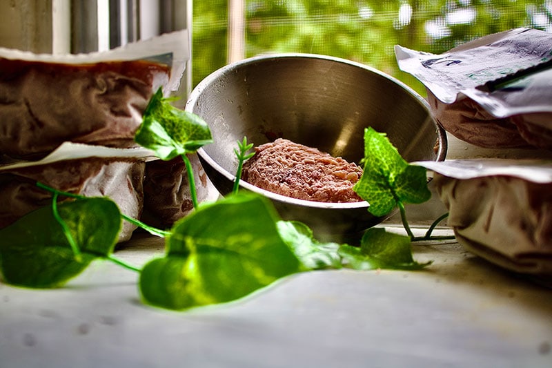 darwin's cat food in bowl