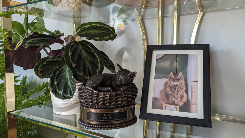 dena's portrait and ashes in cremation urn