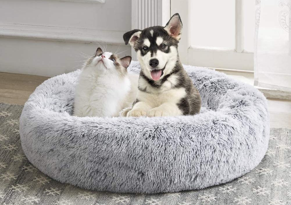 dog and cat in SAVFOX Long Plush Comfy Calming & Self-Warming Bed