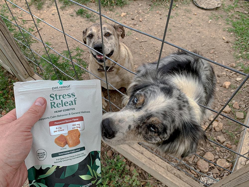 dogs and pet releaf stress releaf hemp edibites