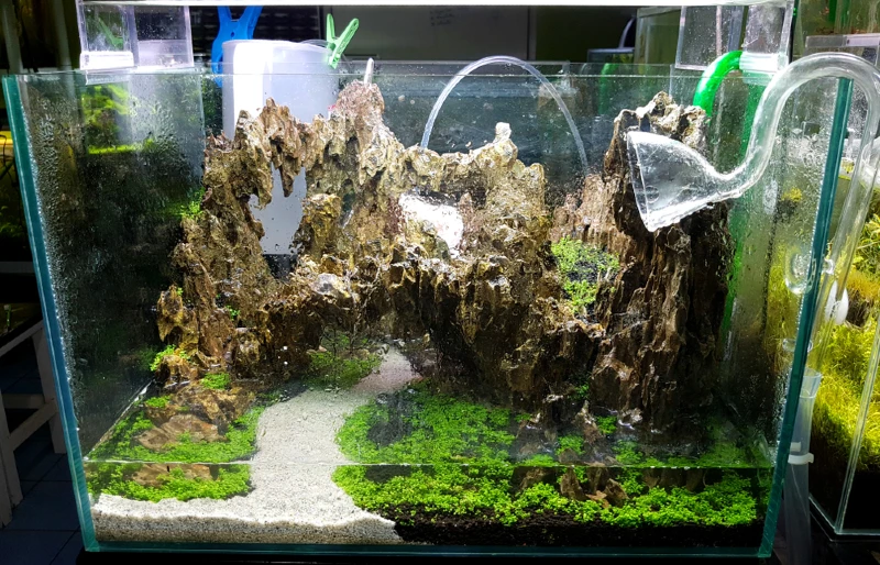 dragon stone arrangement on soil substrate with plant for making hardscape and fill water of aquatic plant tank