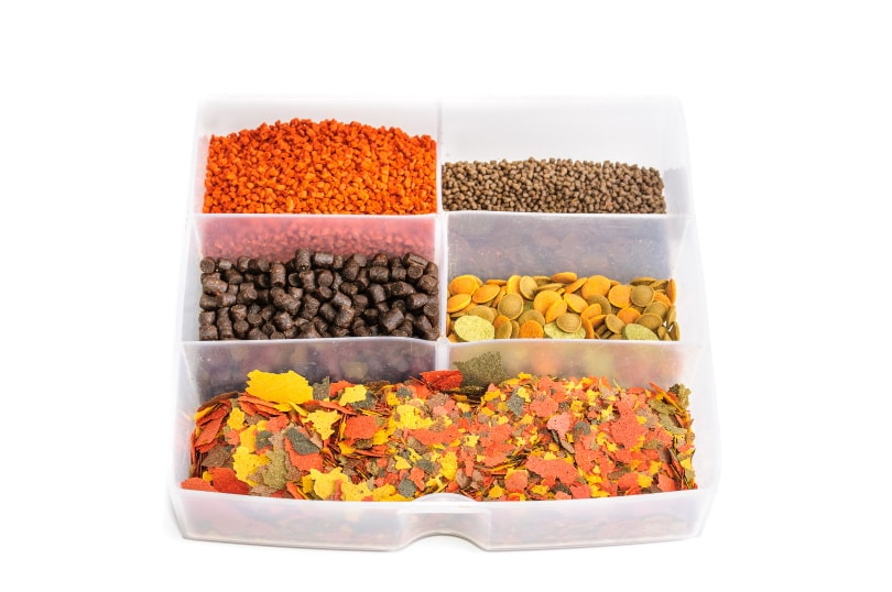 dry aquarium fish food