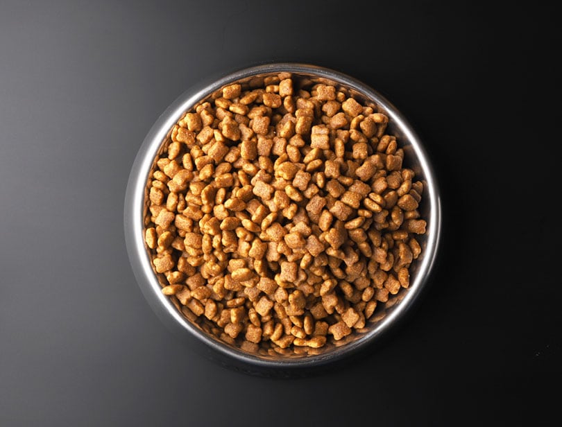 dry pet food in a metal bowl