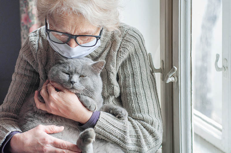 Elderly woman hugging a grey cat