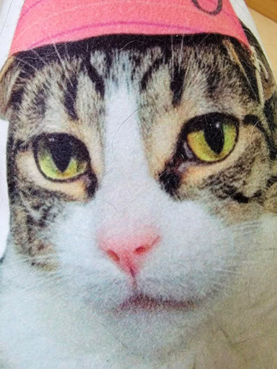 face details closeup of the petsies pillow