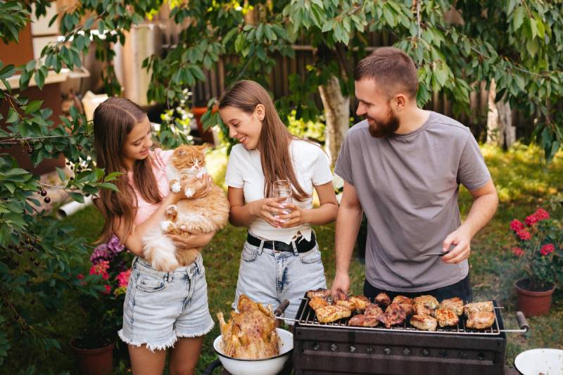 family with a ginger cat is having fun and chatting on the grill