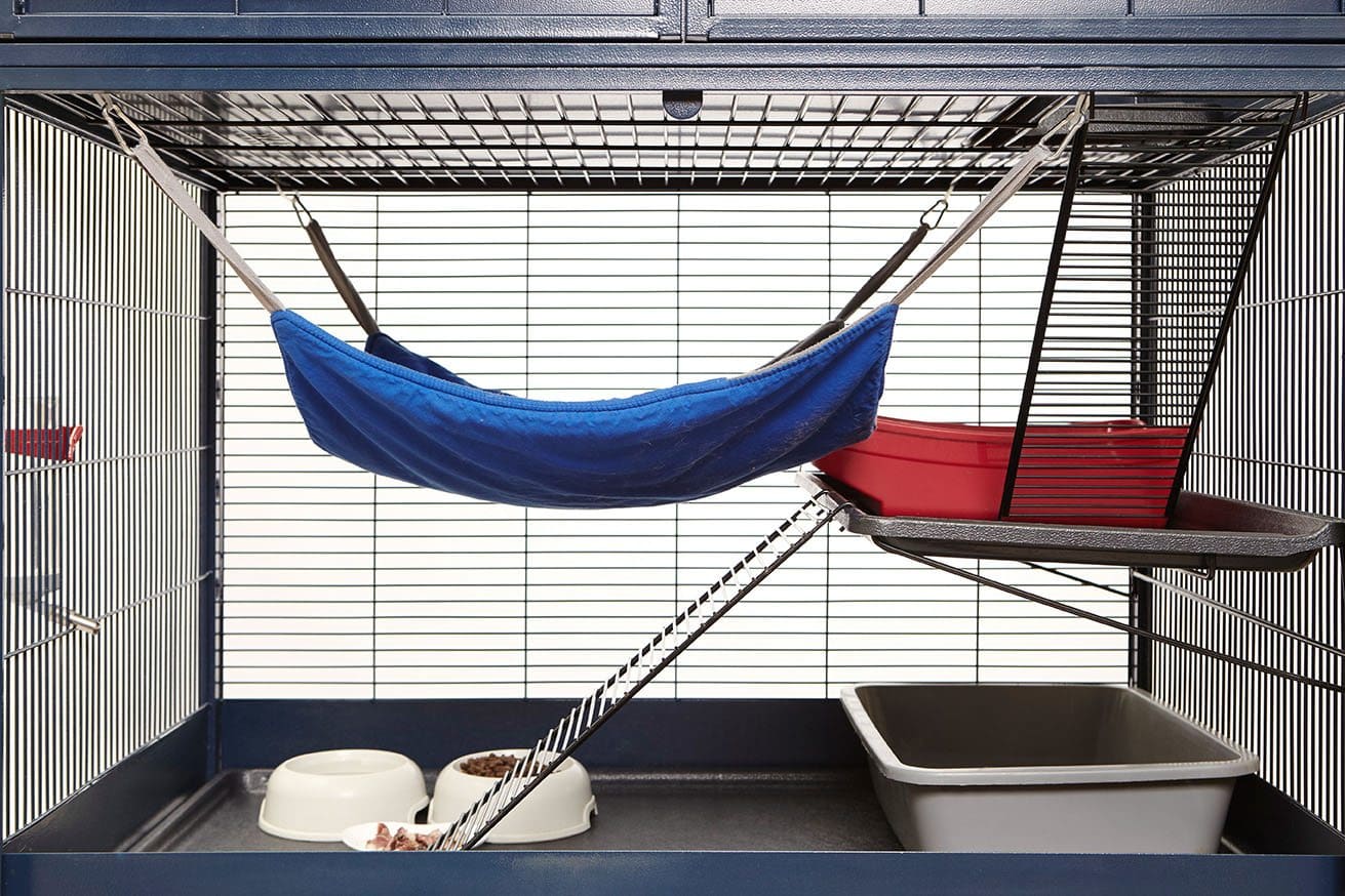 ferret cage setup