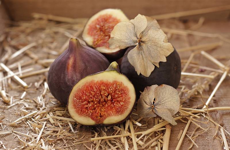 fig fruit