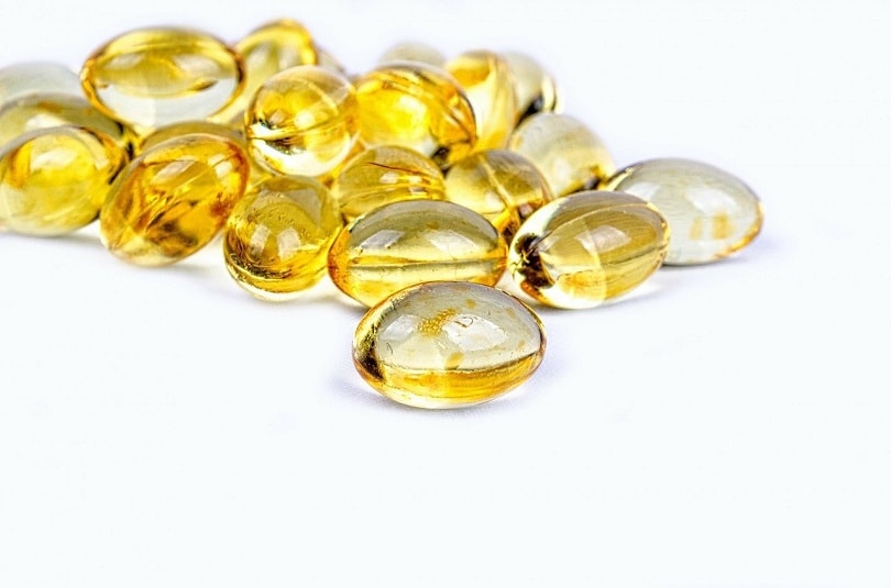 fish oil pill
