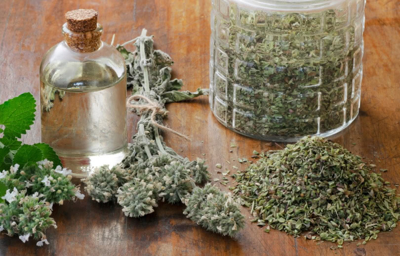 fresh and dried catnip