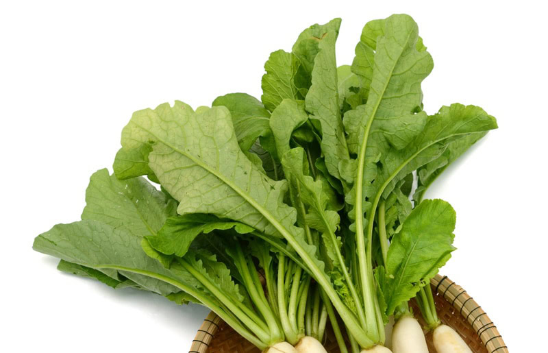 fresh radish in the basket
