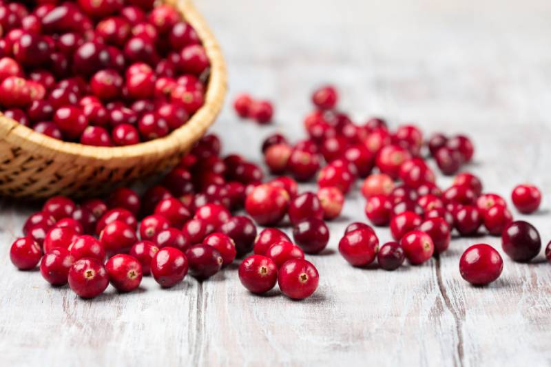 fresh red cranberries in wicker basket