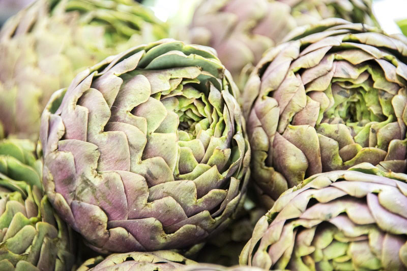 globe artichoke