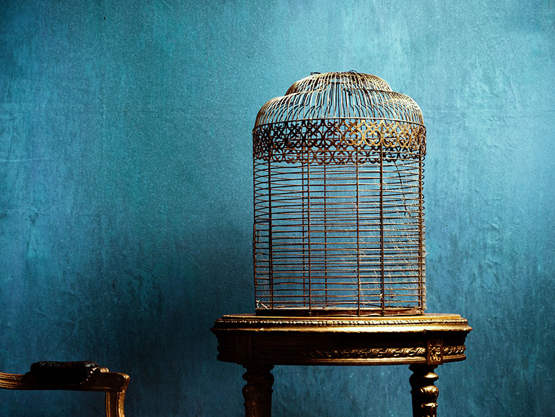 golden old round bird cage