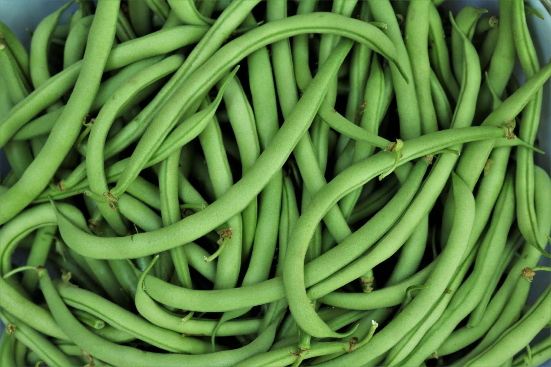 green beans