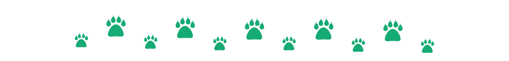green-cat-paw-divider