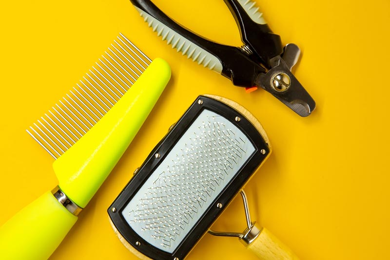 grooming tools for cats and dogs