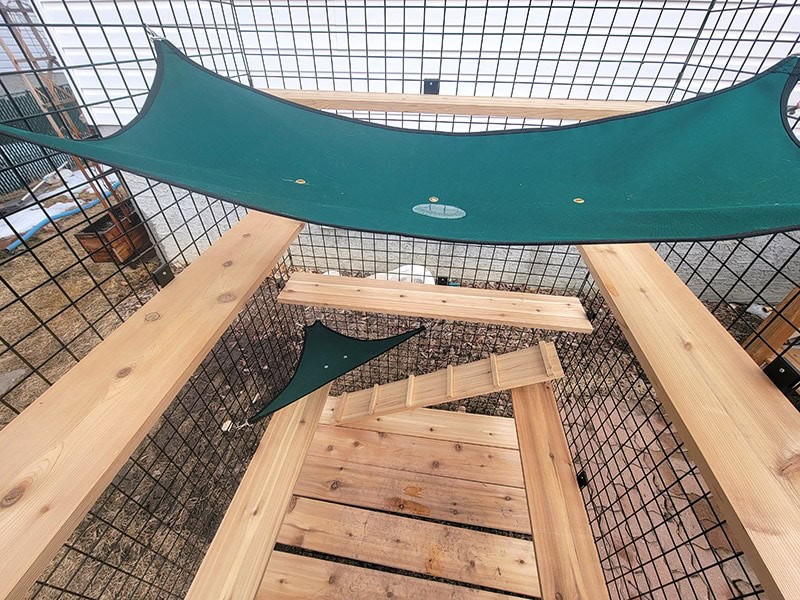 hammocks in the habitat haven my own den petit enclosure
