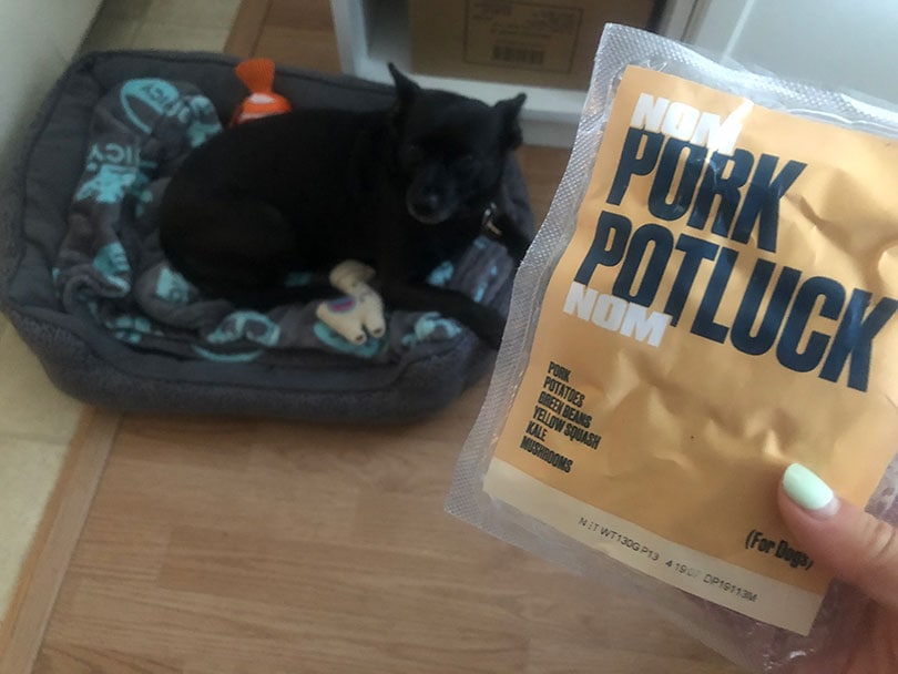 hand holding out the nom nom port putlock recipe to a black dog