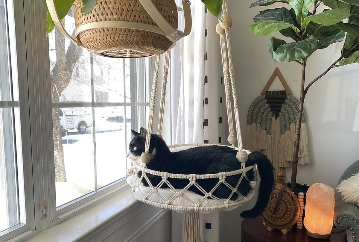 hanging macrame DIY cat bed