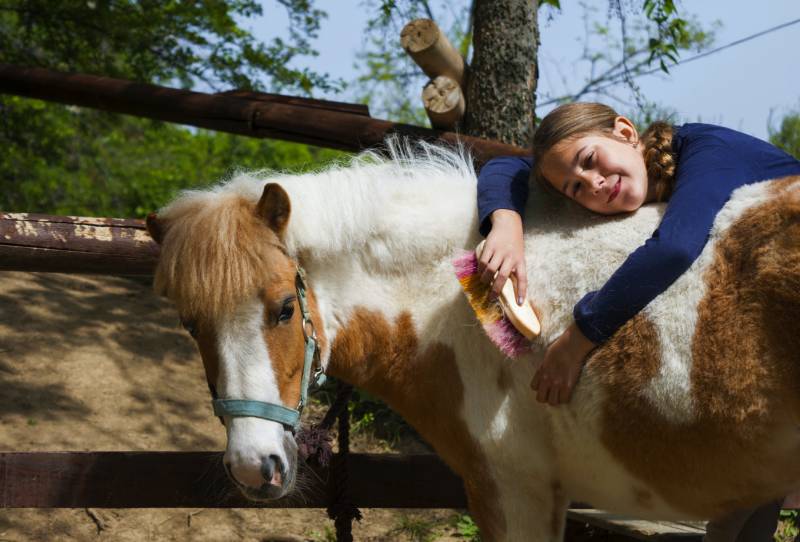 happy girl holding a brush posing with her horse