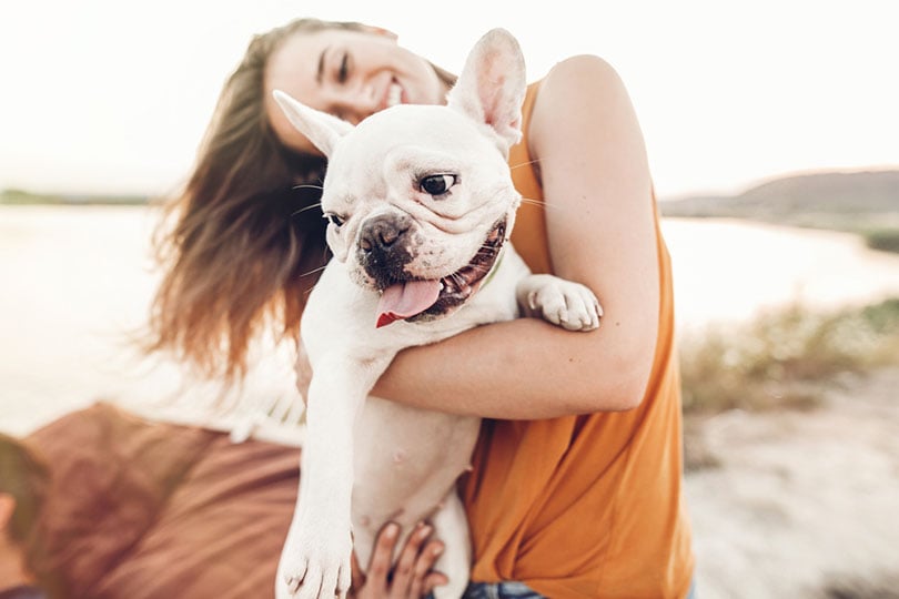happy woman owner playing with bulldog on the beach