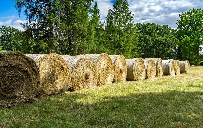 hay bales