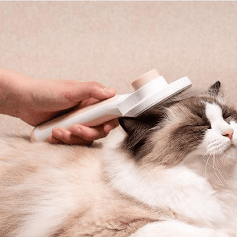 A cat being groomed with the Hepper brush