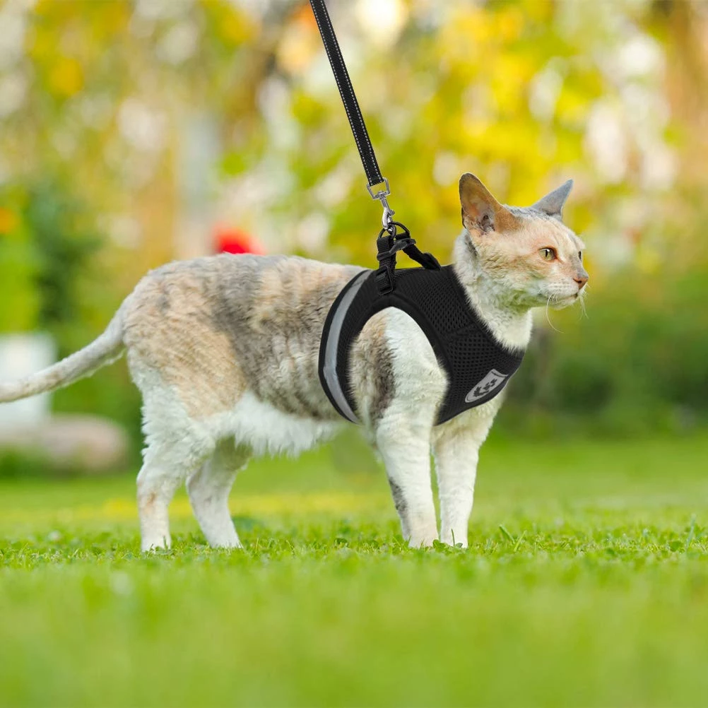 hepper cat harness