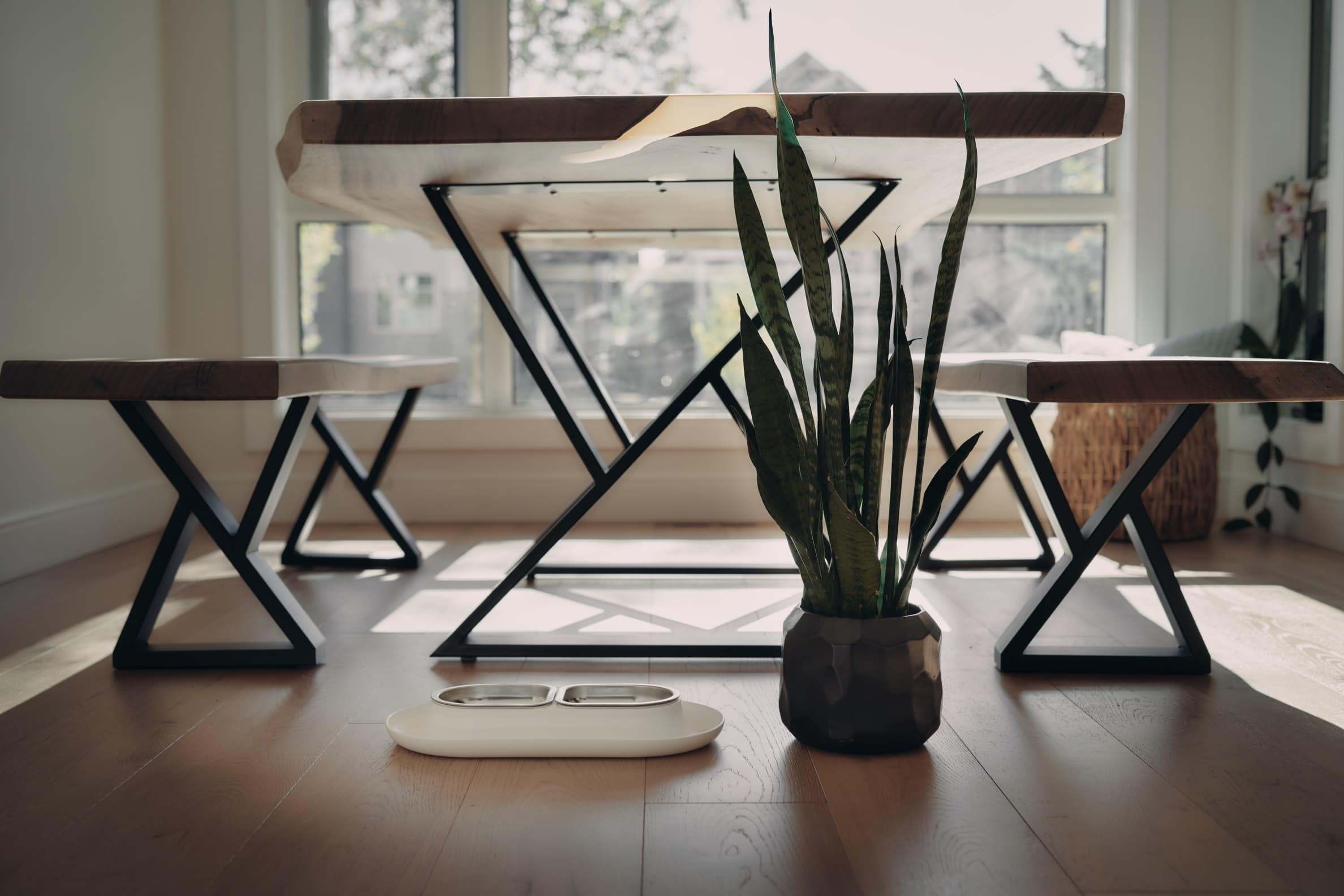 hepper nomnom cat food bowl snake plant