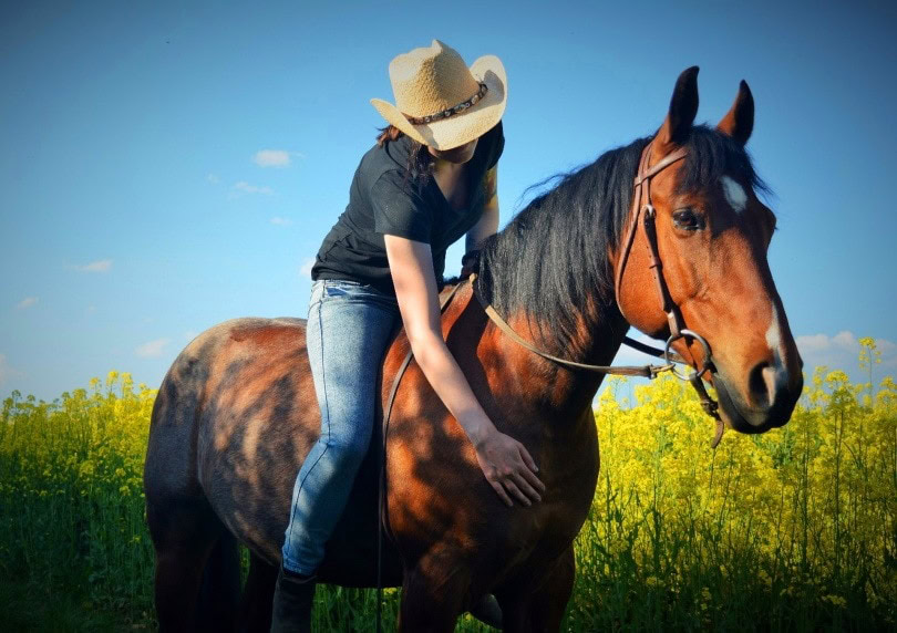 horse riding 2_angiwalch_Pixabay