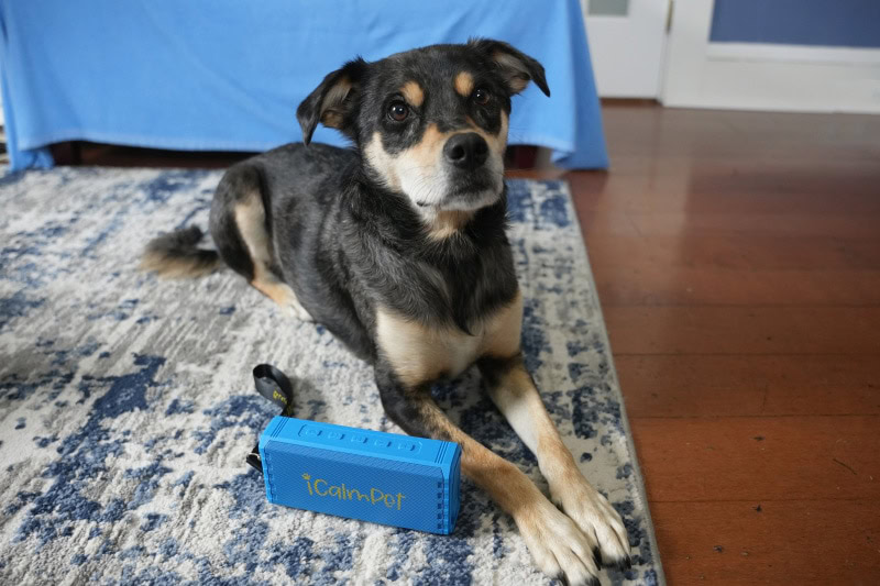 iCalmPet Ruff n' Ready Speaker - elo lying behind the product