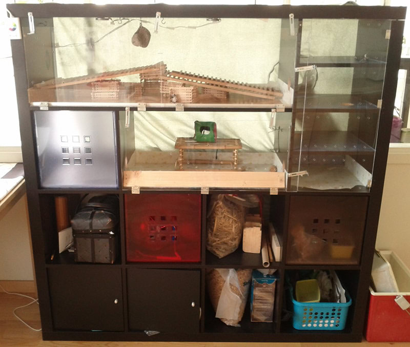 ikea_hack_bacons_hamster_condo_plan