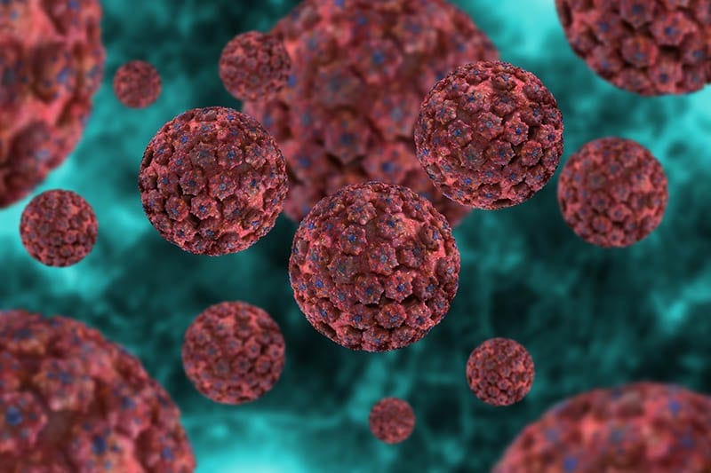 illustration of papilloma virus