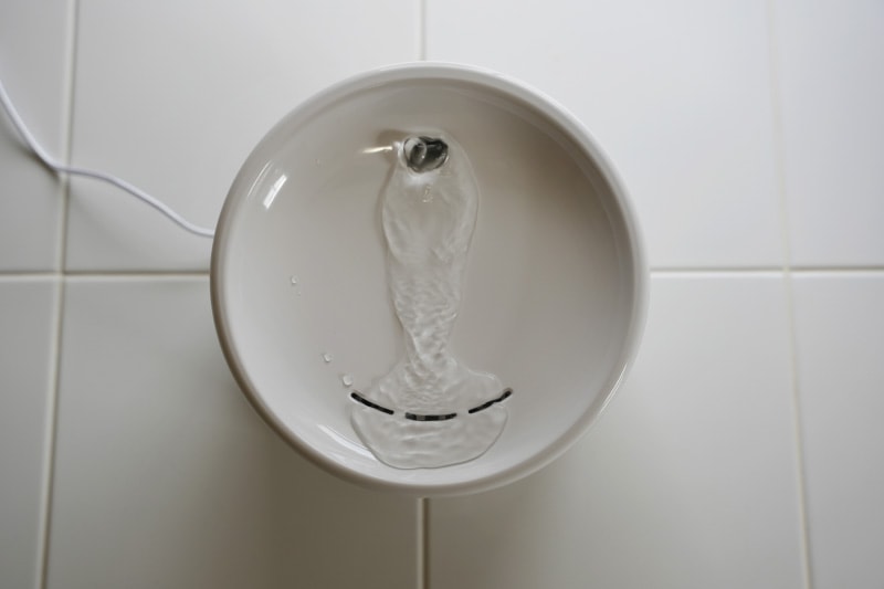 instachew purrflow smart pet fountain - water coming out of the fountain