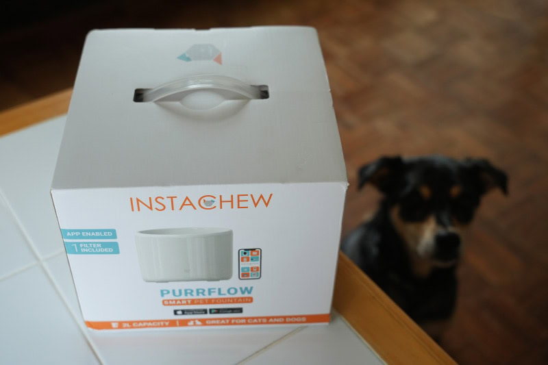 instachew purrflow smart pet fountain