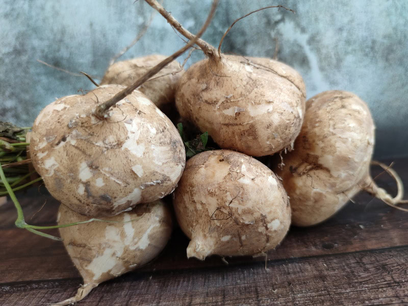 jicama in wooden table