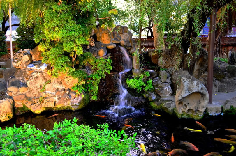 koi fish pond water fall