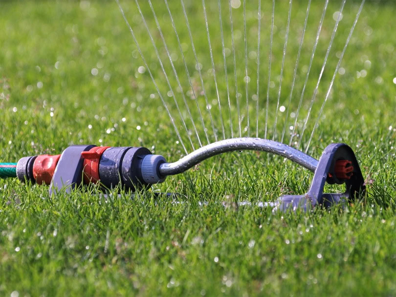 lawn-sprinkler spewing water