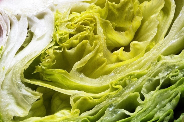 light green vegetable