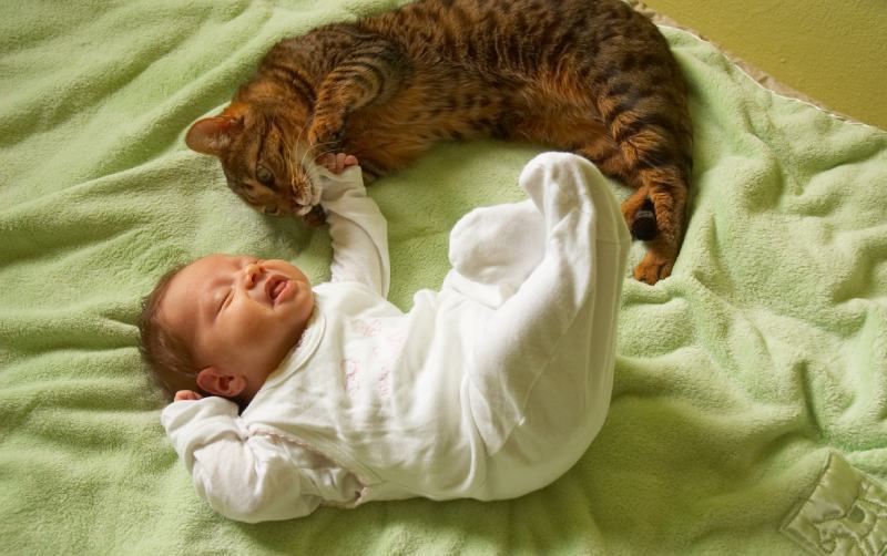 little baby with cat