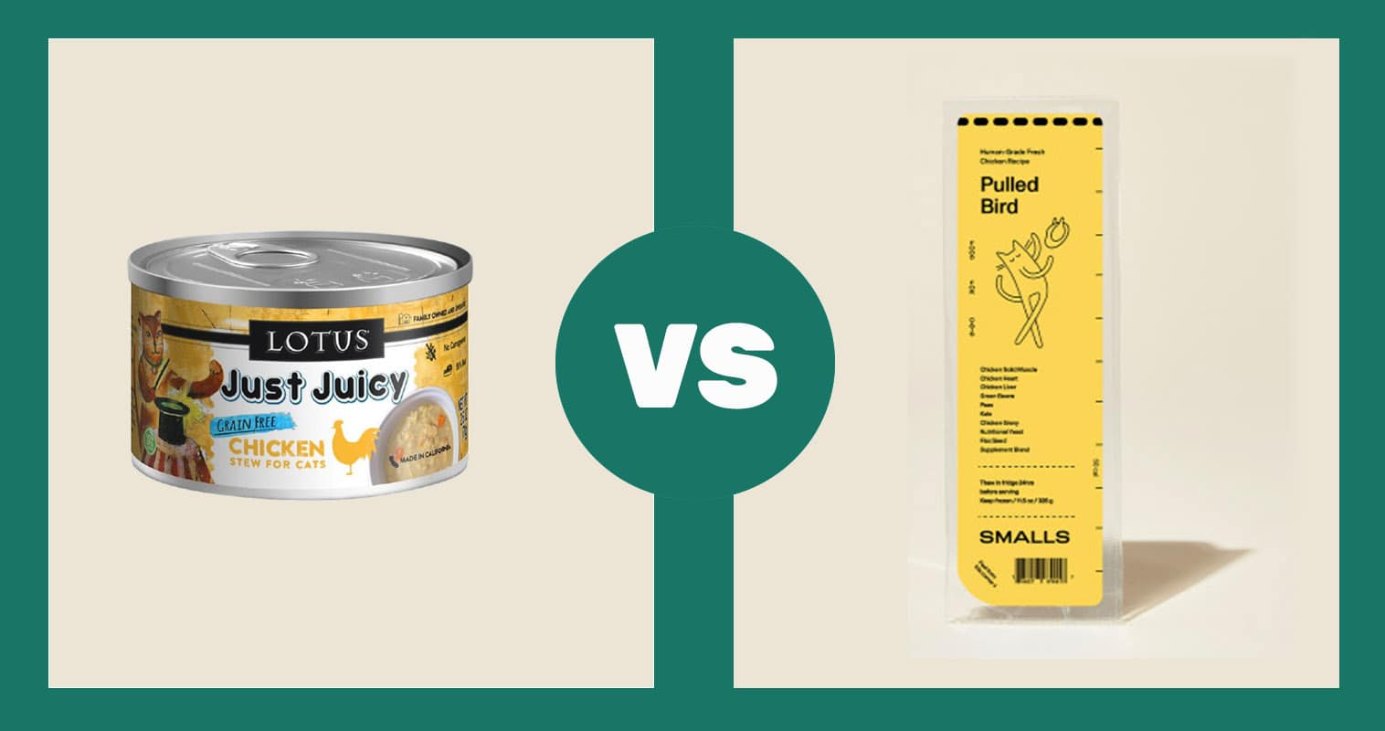 lotus vs smalls pulled bird