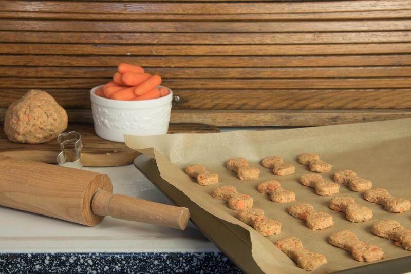 making homemade puppy treats