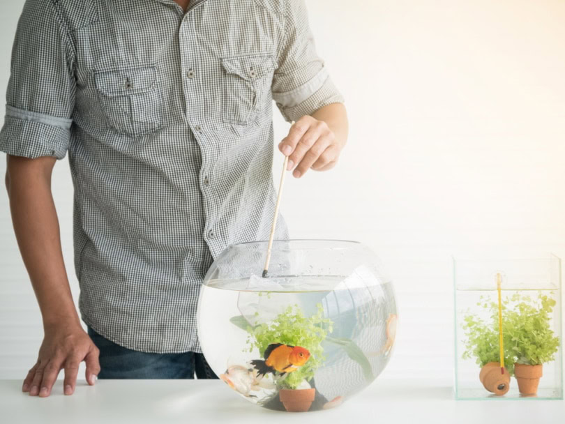 man cleaning goldfish bowl