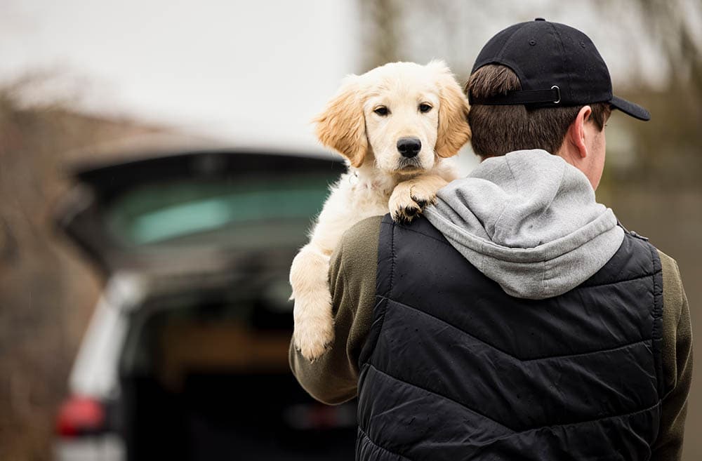 man dognapping a puppy