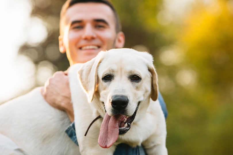 man holding his labrador dog and smiling at sunset