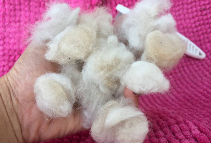 man holding rabbit fur during shedding season